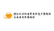 澄江化石地