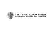 版纳热带植物园